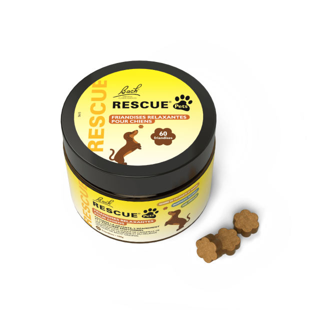 Friandises pour chiens RESCUE Chews Top Jar