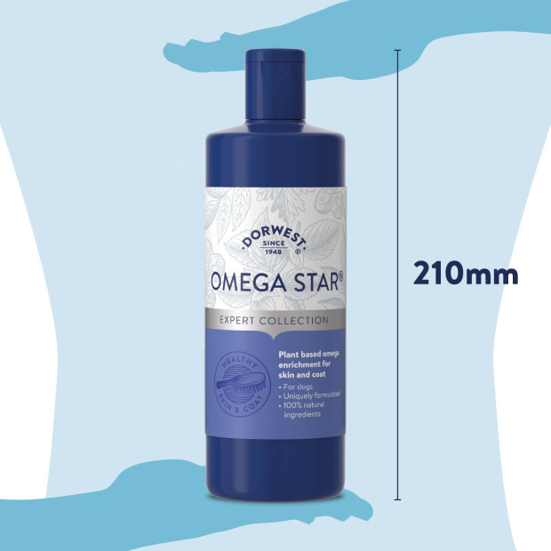 Omega Star - Dorwest