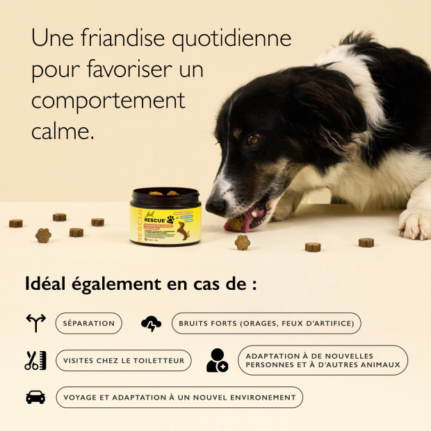 Friandises pour chiens RESCUE PETS 100% naturelles.