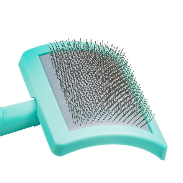 Brosse carde plastique menthe Tauro Pro Line