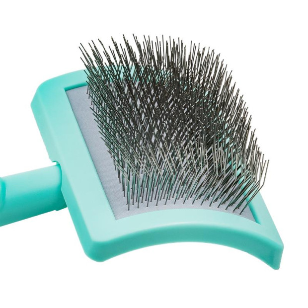 Brosse carde plastique menthe Tauro Pro Line