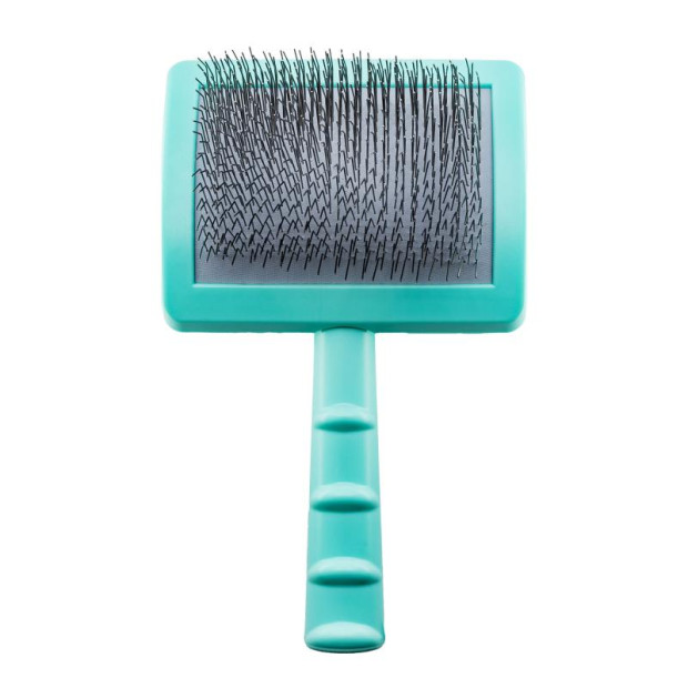 Brosse carde plastique menthe Tauro Pro Line