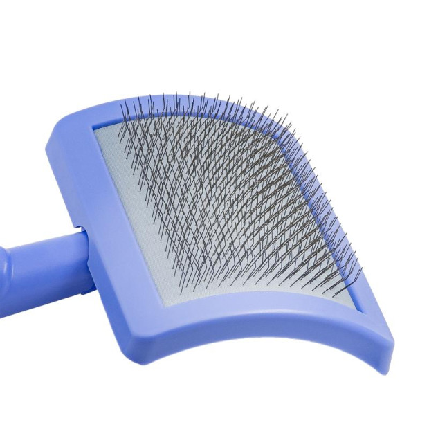 Brosse carde plastique violette Tauro Pro Line