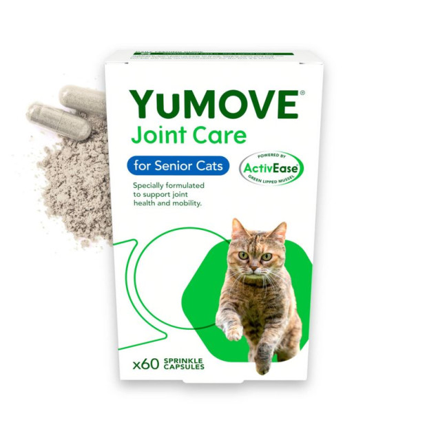 YuMove Chat Senior pour les articulations raides